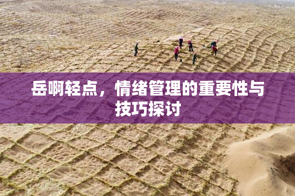 岳啊轻点，情绪管理的重要性与技巧探讨
