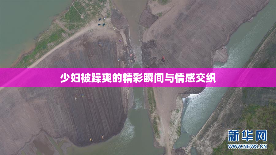 少妇被躁爽的精彩瞬间与情感交织