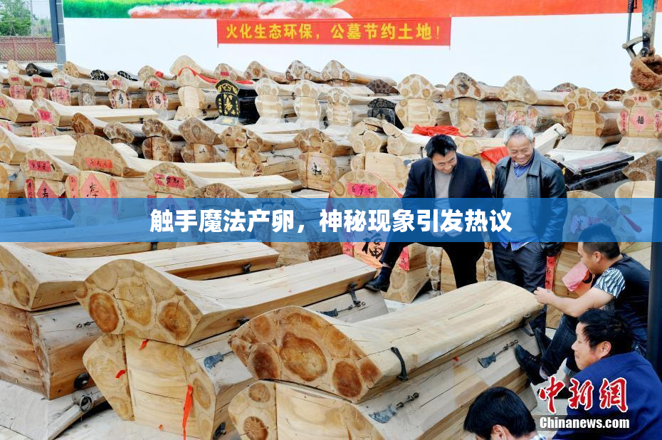 触手魔法产卵，神秘现象引发热议