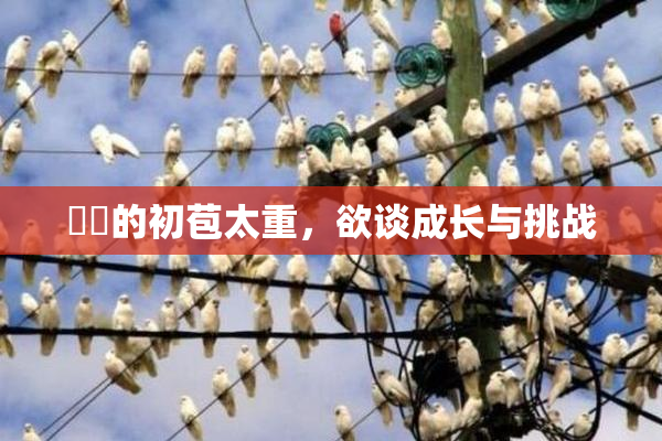 妺妺的初苞太重，欲谈成长与挑战