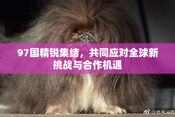 97国精锐集结，共同应对全球新挑战与合作机遇