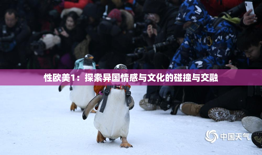性欧美1：探索异国情感与文化的碰撞与交融