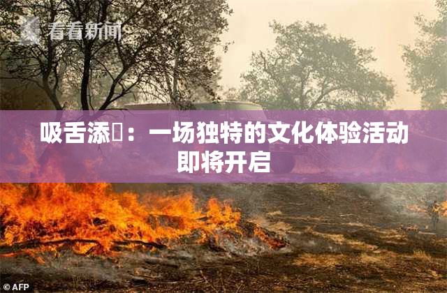 吸舌添泬：一场独特的文化体验活动即将开启