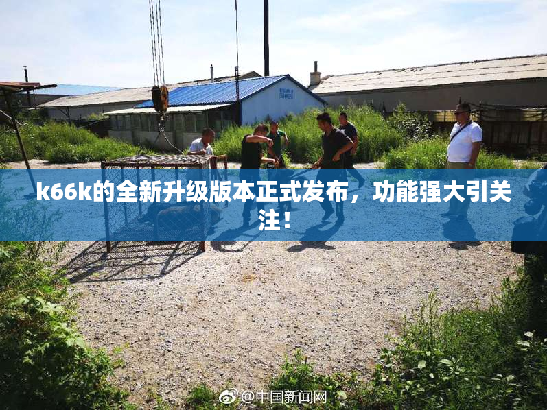 k66k的全新升级版本正式发布，功能强大引关注！