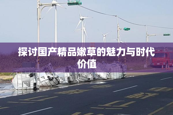 探讨国产精品嫩草的魅力与时代价值