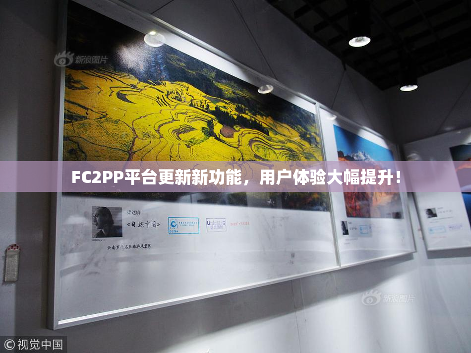 FC2PP平台更新新功能，用户体验大幅提升！
