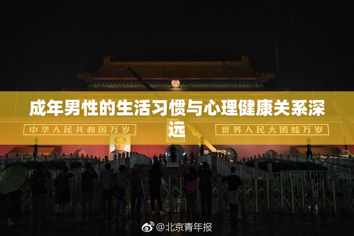 成年男性的生活习惯与心理健康关系深远
