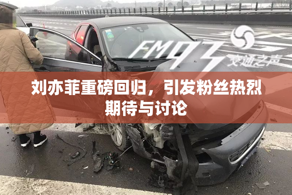 刘亦菲重磅回归，引发粉丝热烈期待与讨论