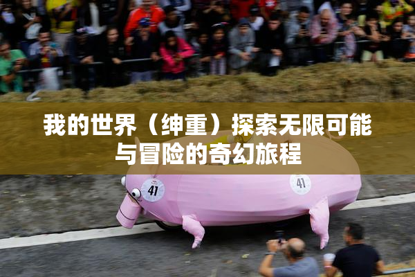 我的世界（绅重）探索无限可能与冒险的奇幻旅程