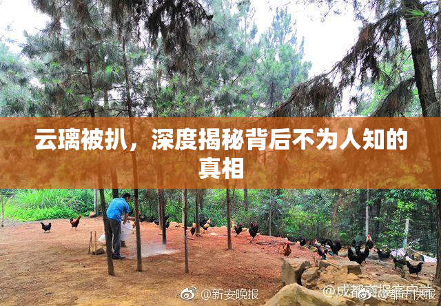 云璃被扒，深度揭秘背后不为人知的真相