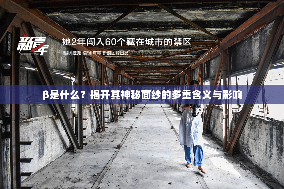 β是什么？揭开其神秘面纱的多重含义与影响