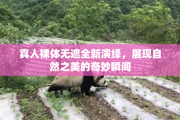 真人裸体无遮全新演绎，展现自然之美的奇妙瞬间