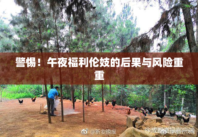 警惕！午夜福利伦妓的后果与风险重重