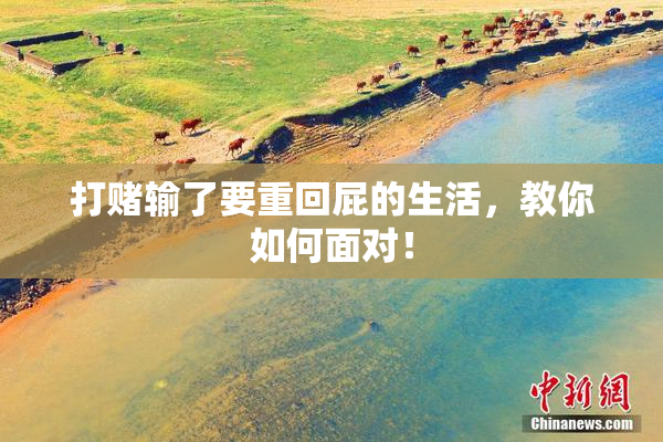 打赌输了要重回屁的生活，教你如何面对！