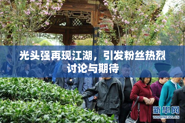 光头强再现江湖，引发粉丝热烈讨论与期待