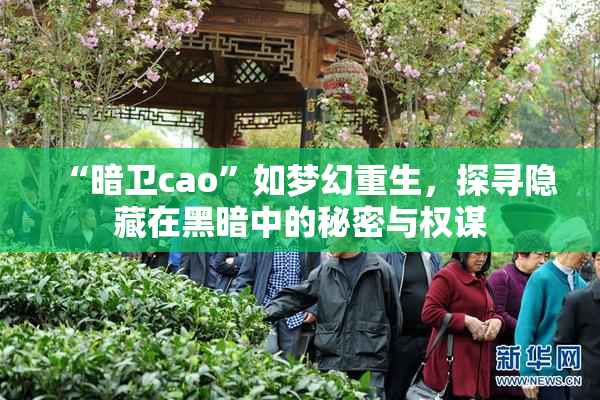“暗卫cao”如梦幻重生，探寻隐藏在黑暗中的秘密与权谋