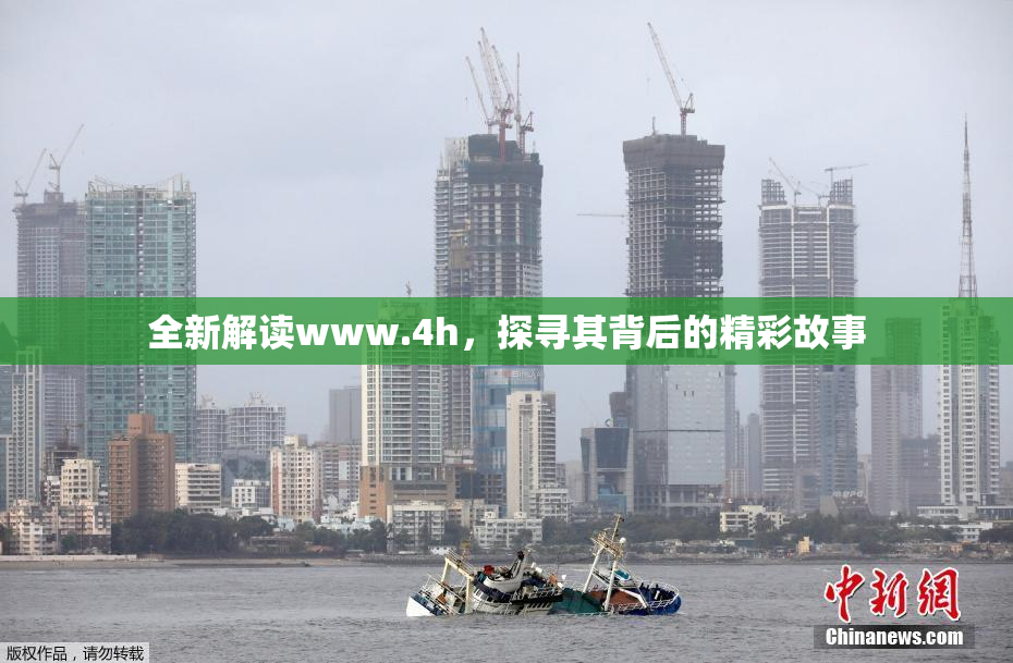 全新解读www.4h，探寻其背后的精彩故事