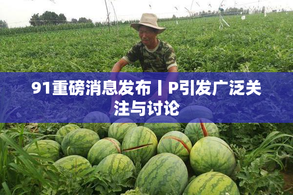 91重磅消息发布丨P引发广泛关注与讨论