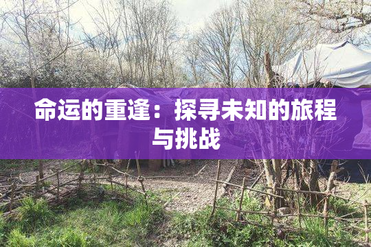 命运的重逢：探寻未知的旅程与挑战