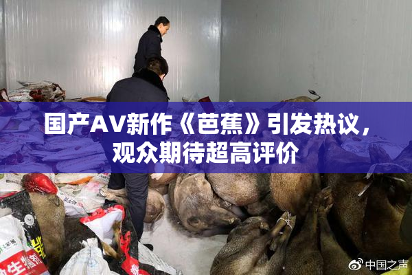 国产AV新作《芭蕉》引发热议，观众期待超高评价