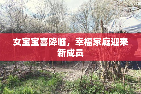 女宝宝喜降临，幸福家庭迎来新成员