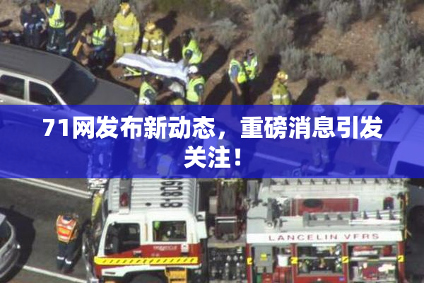 71网发布新动态，重磅消息引发关注！