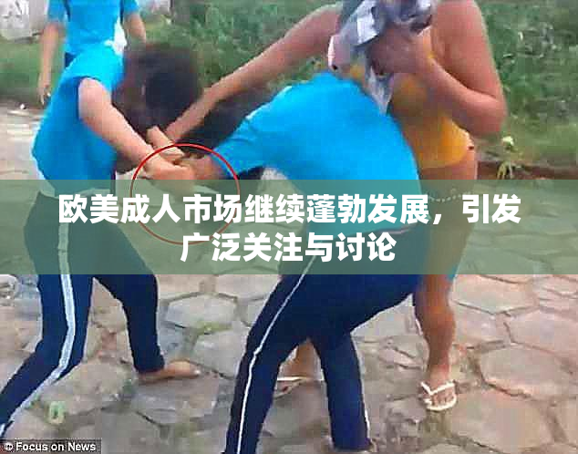 欧美成人市场继续蓬勃发展，引发广泛关注与讨论