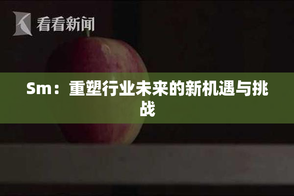 Sm：重塑行业未来的新机遇与挑战
