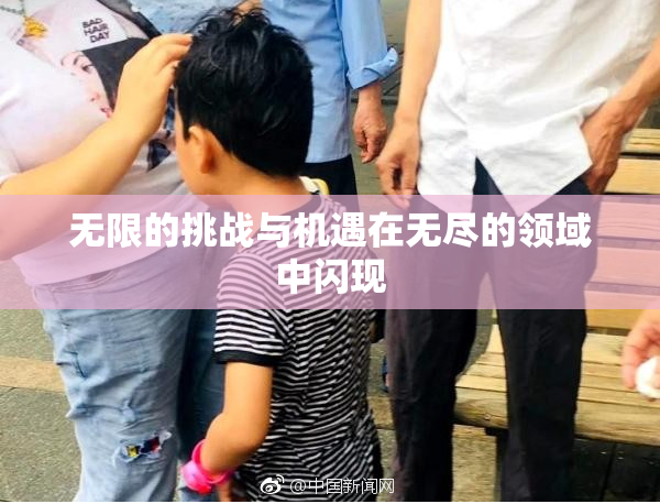 无限的挑战与机遇在无尽的领域中闪现