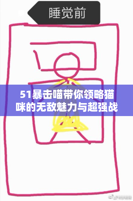 51暴击喵带你领略猫咪的无敌魅力与超强战斗力