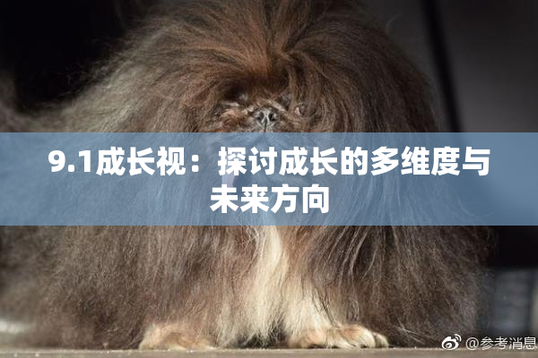 9.1成长视：探讨成长的多维度与未来方向