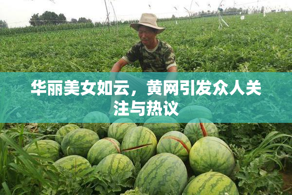 华丽美女如云，黄网引发众人关注与热议