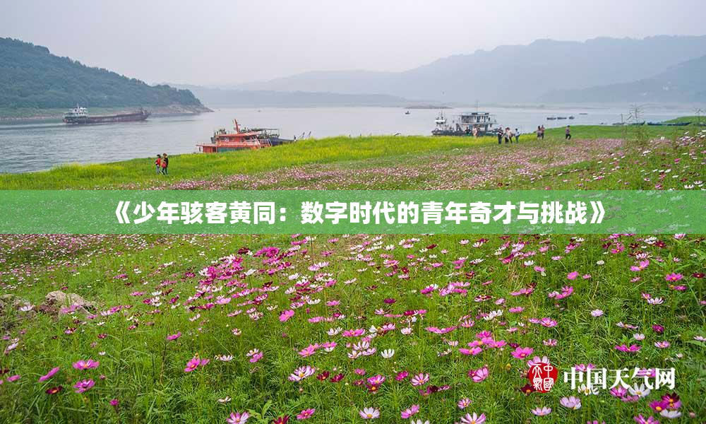 《少年骇客黄同：数字时代的青年奇才与挑战》