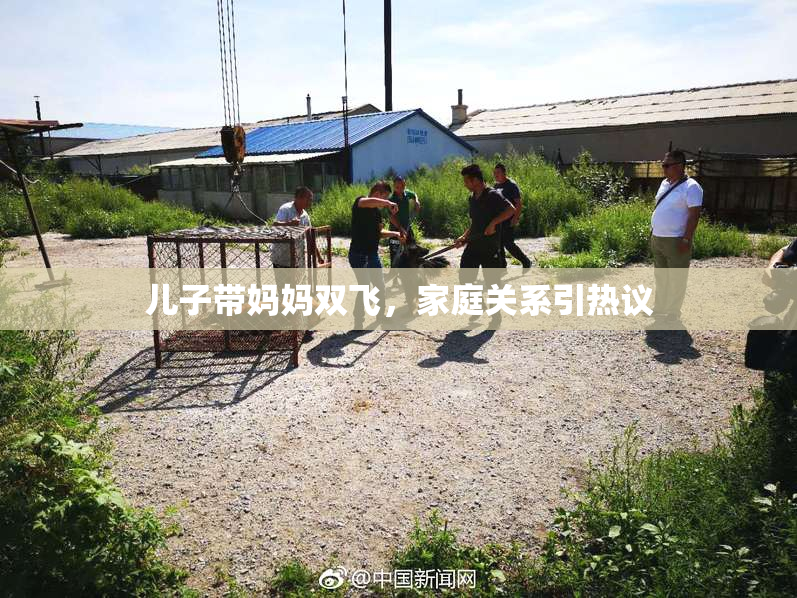 儿子带妈妈双飞，家庭关系引热议