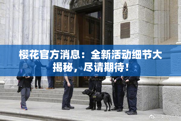 樱花官方消息：全新活动细节大揭秘，尽请期待！