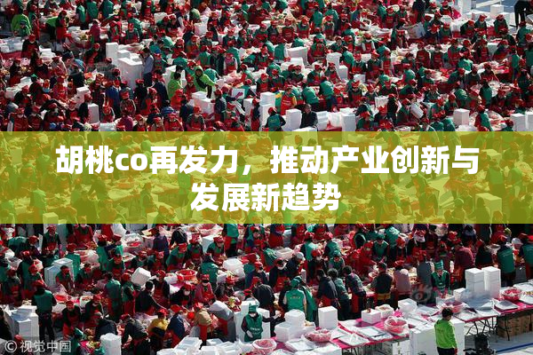 胡桃co再发力，推动产业创新与发展新趋势