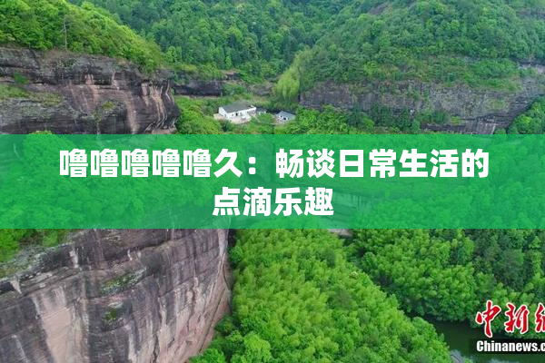 噜噜噜噜噜久：畅谈日常生活的点滴乐趣