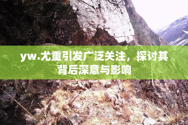 yw.尤重引发广泛关注，探讨其背后深意与影响