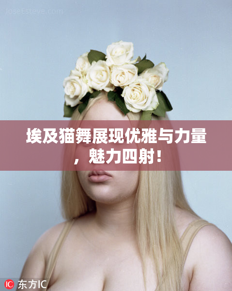 埃及猫舞展现优雅与力量，魅力四射！