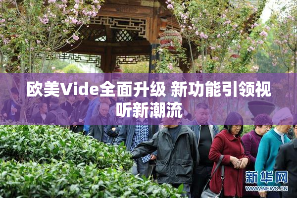欧美Vide全面升级 新功能引领视听新潮流