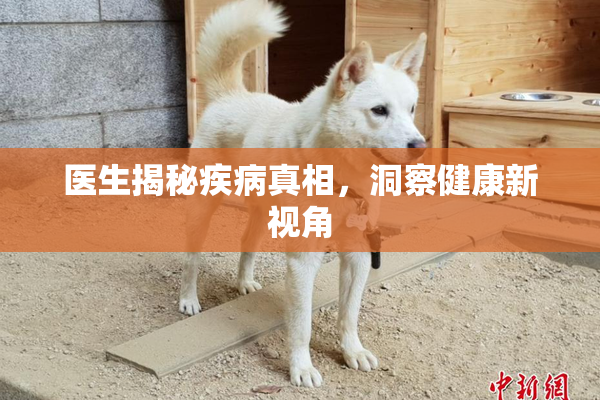 医生揭秘疾病真相，洞察健康新视角