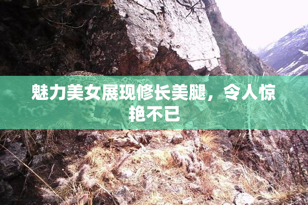 魅力美女展现修长美腿，令人惊艳不已