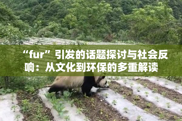 “fur”引发的话题探讨与社会反响：从文化到环保的多重解读