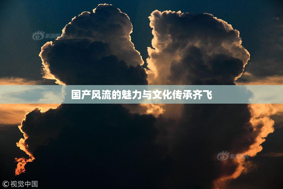 国产风流的魅力与文化传承齐飞