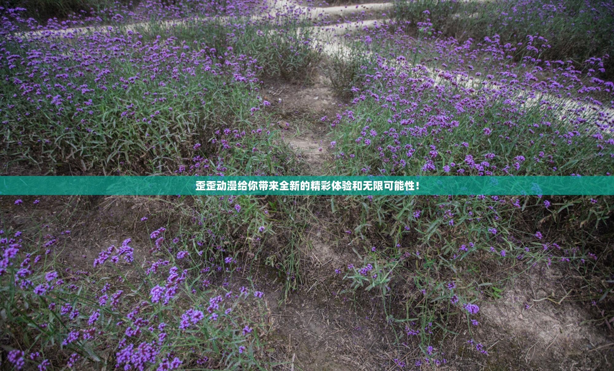 歪歪动漫给你带来全新的精彩体验和无限可能性！