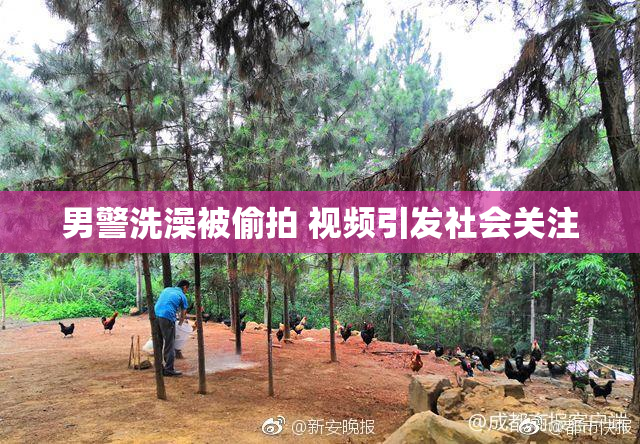 男警洗澡被偷拍 视频引发社会关注