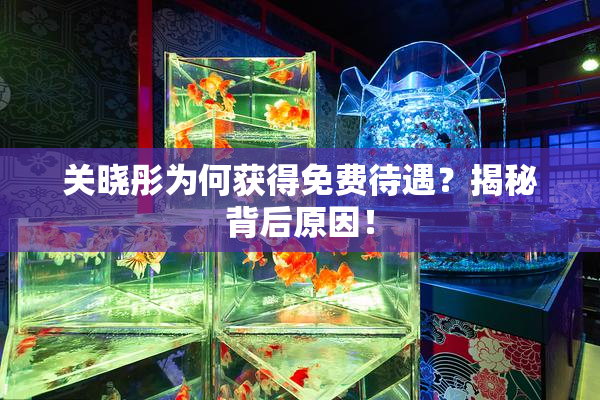 关晓彤为何获得免费待遇？揭秘背后原因！