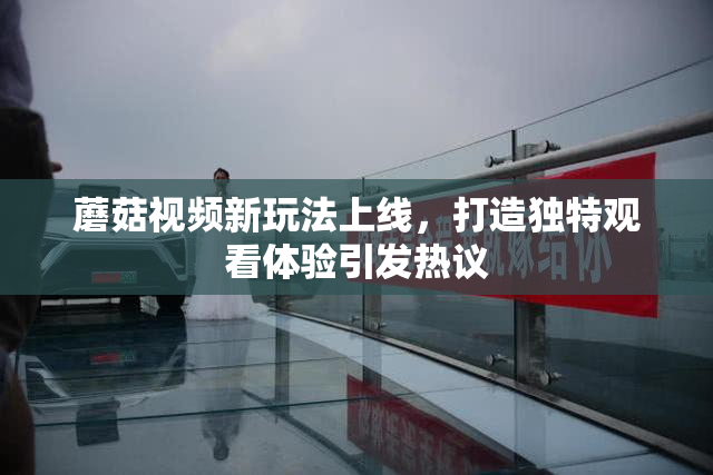 蘑菇视频新玩法上线，打造独特观看体验引发热议
