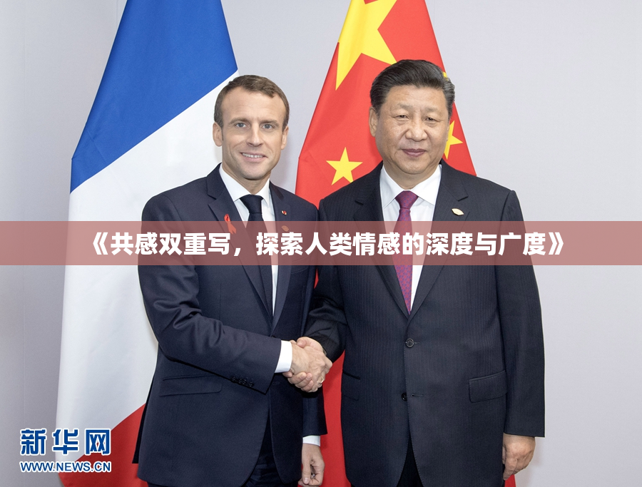 《共感双重写，探索人类情感的深度与广度》