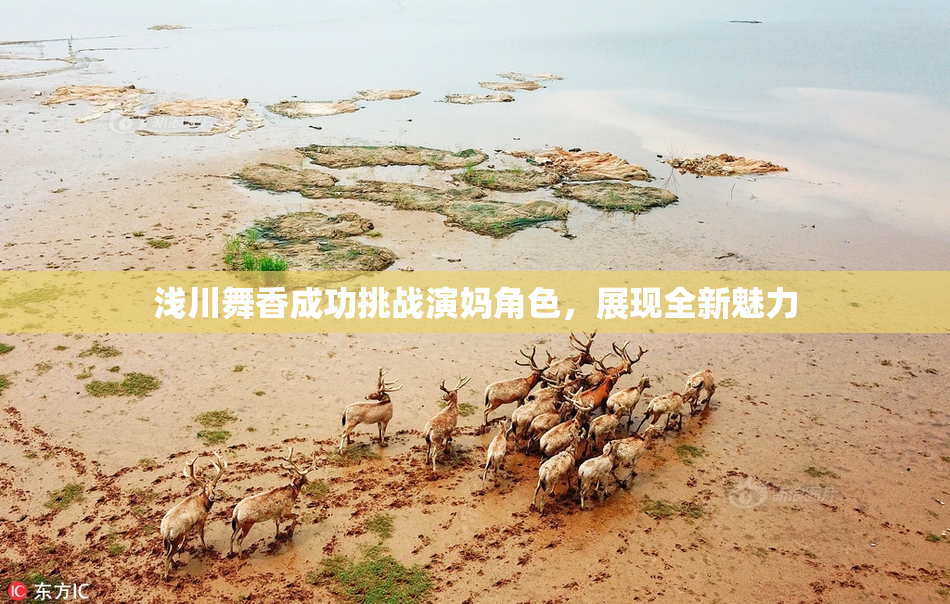浅川舞香成功挑战演妈角色，展现全新魅力